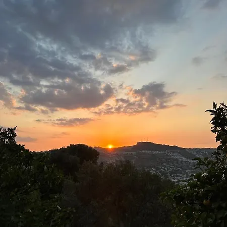 Mandra - Nature Living * Bodrum